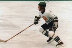 80s-90s Lions: A-D