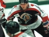 jariikonen