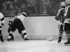 lions-humberside-fight