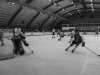 vesa-v-telford