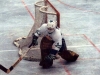 vesapennanen9