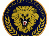 lions-badge