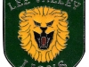 pinbadge
