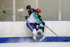 Basingstoke Buffalo 28-11-09