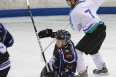 Bristol Pitbulls 11-02-12