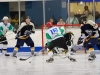 Lee Valley Lions v Haringey Greyhounds