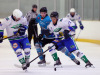 Lee Valley Lions vs MK Thunder, NIHL2 South, 11 January 2026