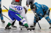 Lee Valley Lions vs MK Thunder, NIHL2 South, 11 January 2026
