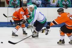 Wightlink Tigers 28-01-12